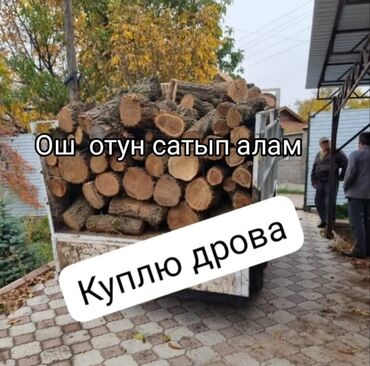 рассрочка дом: Услуга: покупка дров. Ищу и покупаю дрова. Подходят колотые или в