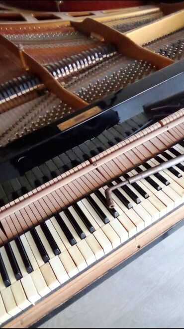 Midi-klaviaturalar: Qrand piano – akustik konsert tipli - Korpus: qara laklı parlaq üst