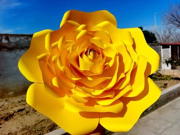 Digər ev dekoru: Sinif otağı, bağça,, məktəb, gözəllik salonu, mağaza vitrin, toy nişan — 4