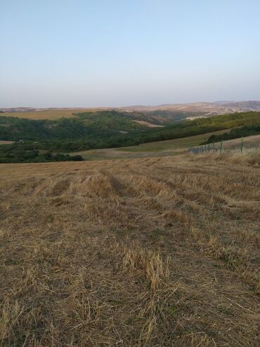 Torpaq sahələrinin satışı: 300 sot, Kənd təsərrüfatı, Mülkiyyətçi -da lalafo.az — 11 Torpaq sahələrinin satışı: 300 sot, Kənd təsərrüfatı, Mülkiyyətçi — 11