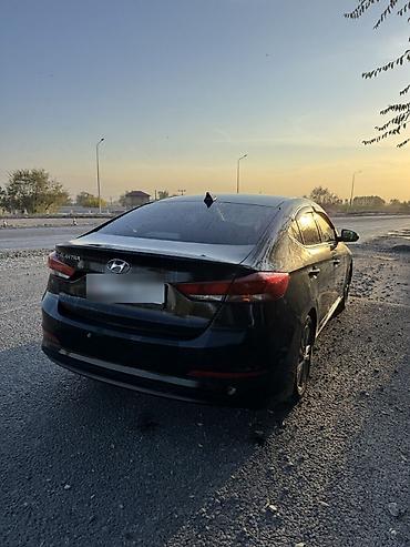 murat: Hyundai Elantra: 2016 г., 2 л, Автомат, Бензин, Седан — 1