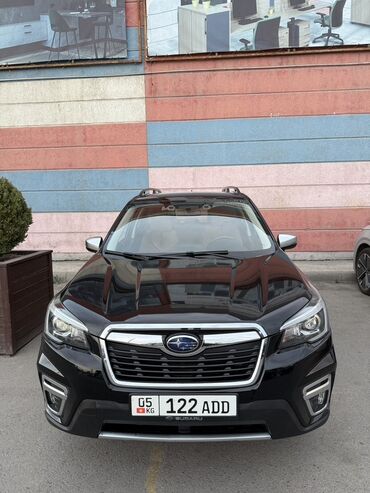 субару форестер 2018: Subaru Forester: 2019 г., 2.5 л, Вариатор, Бензин, Кроссовер
