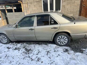 Mercedes-Benz: Mercedes-Benz W124: 1992 г., 2 л, Автомат, Бензин, Седан