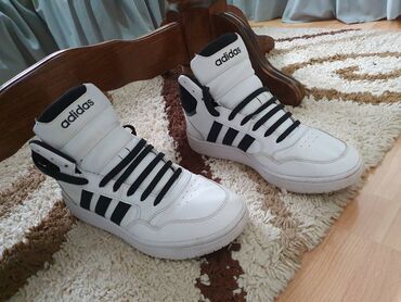 smartic satic a1 cena: Patike, Adidas, veličina - 43.5
