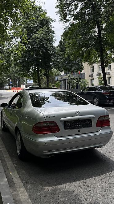 мерс clk: Mercedes-Benz CLK-Class: 1998 г., 3.2 л, Автомат, Бензин, Купе — 4