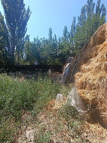 Продажа коттеджей и домов: Дом, 5 комнат, 68 кв.м В селе Петровка продается дом из 5-ти комнат at lalafo.kg — 3 Продажа коттеджей и домов: Дом, 5 комнат, 68 кв.м В селе Петровка продается дом из 5-ти комнат — 3