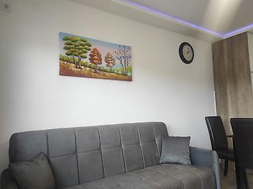 Stan na dan:  Cera premium apartment je vaša oaza luksuza u samom srcu Sokobanje — 6
