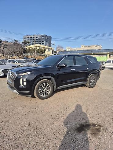 Hyundai: Hyundai Palisade: 2019 г., 2.2 л, Автомат, Дизель, Кроссовер — 8