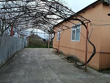 5 otaqlı, 120 kv. m, Kredit yoxdur, Yeni təmirli