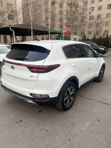 Kia: Kia Sportage: 2019 г., 2 л, Автомат, Дизель, Кроссовер — 4
