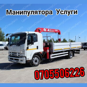Манипуляторы: Манипулятор
