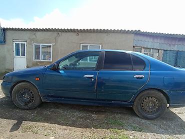 диски нисан примера: Nissan Primera: 2001 г., 2 л, Седан — 3