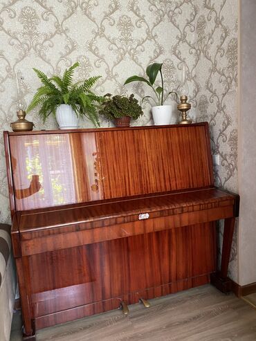 пианино беларусь: Продам Пианино Беларусь
В идеальном состоянии