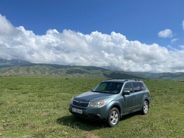 кузов краз: Subaru Forester: 2010 г., 2.5 л, Автомат, Бензин