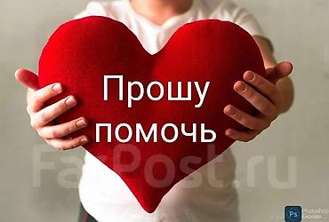 отдам даром цветы: Здравствуйте! Добрые люди, просим вашей помощи!Мы семья с двумя — 1