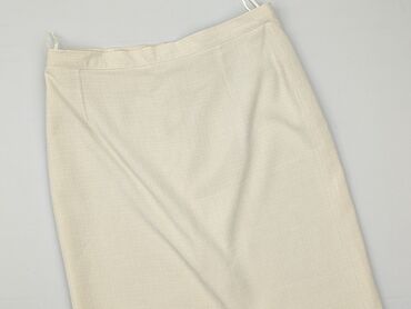 solejka plisowane spódnice: Women`s skirt