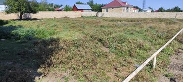 Torpaq sahələrinin satışı: Tikinti, Mülkiyyətçi, Kupça (Çıxarış) — 8