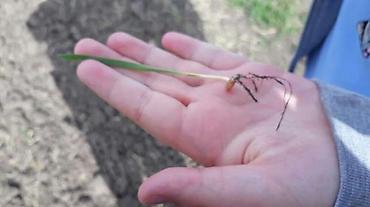 Удобрения и садовая химия: Удобрение Самовывоз — 21