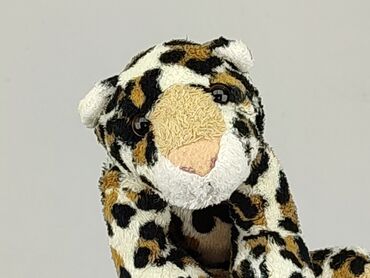 x tiger spodenki: Mascot Tiger, condition - Good