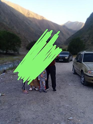 Daewoo: Daewoo Nexia: 2008 г., 1.6 л, Механика, Бензин, Седан — 8