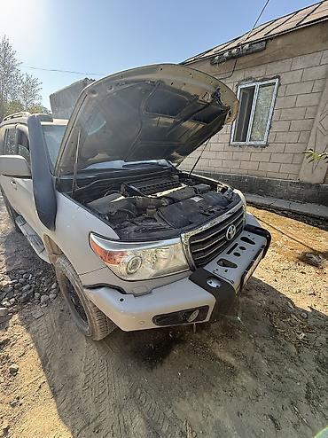 мото номер: Toyota Land Cruiser: 2009 г., 4.5 л, Автомат, Дизель, Внедорожник — 2