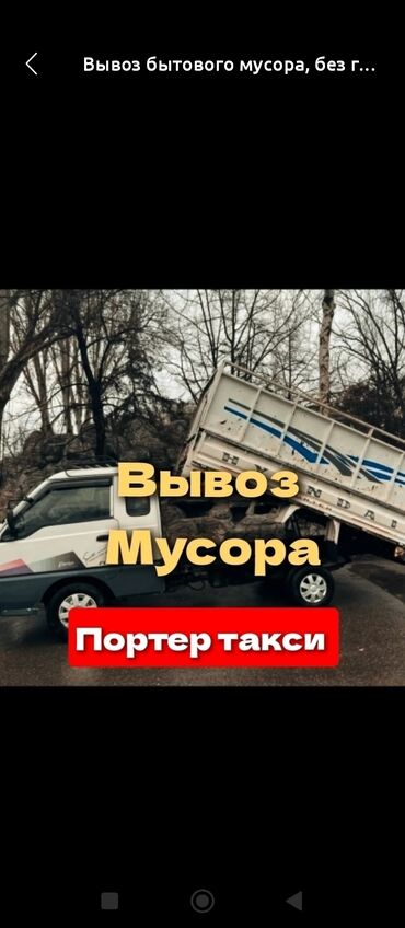 Другие животные: Портер такси портер такси портер такси Портер такси портер такси