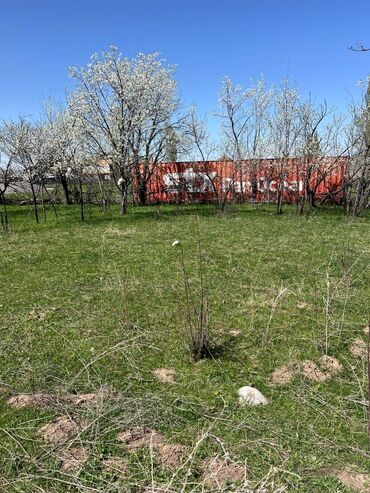 Продажа участков: 10 соток, Для строительства, Красная книга at lalafo.kg — 8 Продажа участков: 10 соток, Для строительства, Красная книга — 8