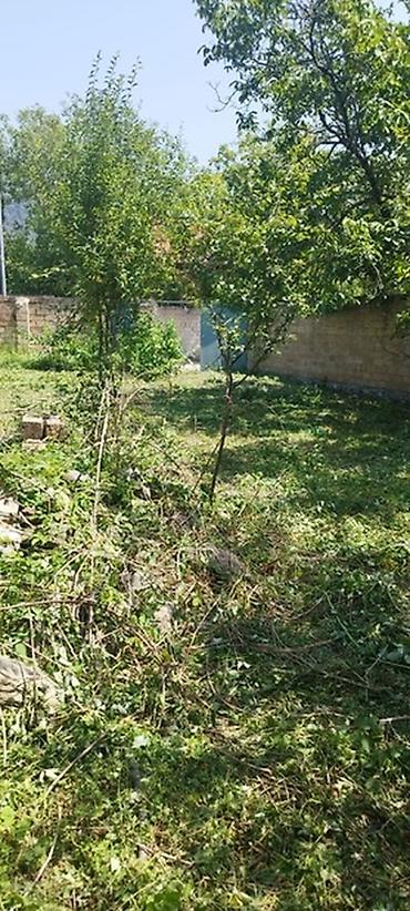 ismayıllıda satılan torpaq: Tikinti, Mülkiyyətçi, Kupça (Çıxarış) — 8