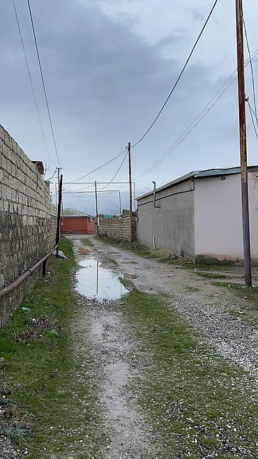 Torpaq sahələrinin satışı: 6 sot, Tikinti, Mülkiyyətçi, Bələdiyyə — 13