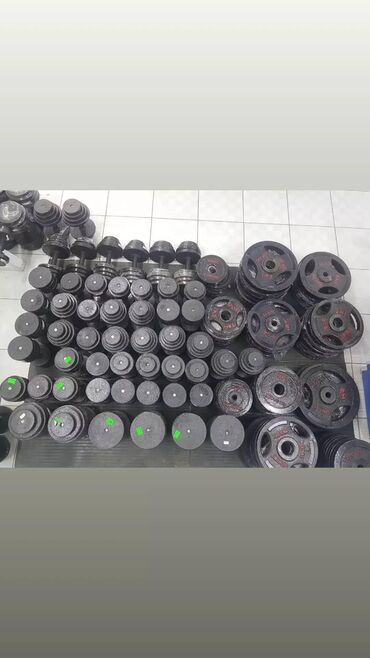набор гантелей в чемодане со сборной штангой: Гантели Гантель Гонтель Гонтели Гантел Гонтел Гантель Блины Блин