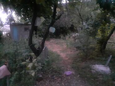 Продажа домов: Дом, 67 м², 4 комнаты, Собственник, ПСО (под самоотделку) at lalafo.kg — 7 Продажа домов: Дом, 67 м², 4 комнаты, Собственник, ПСО (под самоотделку) — 7