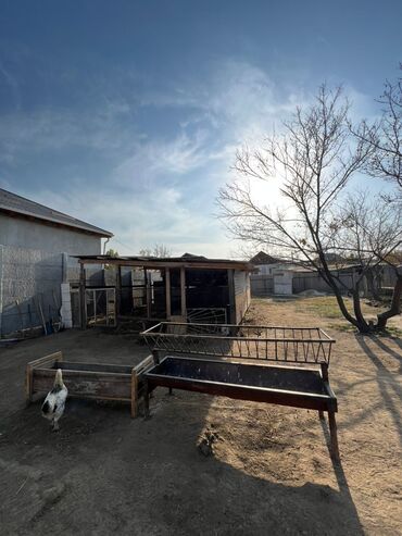 Продажа домов: Дом, 12 м², 4 комнаты, Собственник, Косметический ремонт at lalafo.kg — 17 Продажа домов: Дом, 12 м², 4 комнаты, Собственник, Косметический ремонт — 17