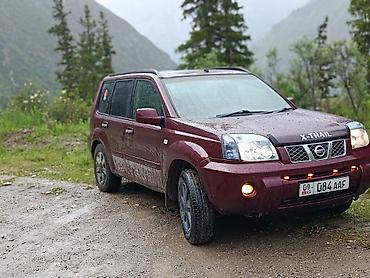 нур мото: Nissan X-Trail: 2004 г., 2 л, Автомат, Газ, Кроссовер — 2