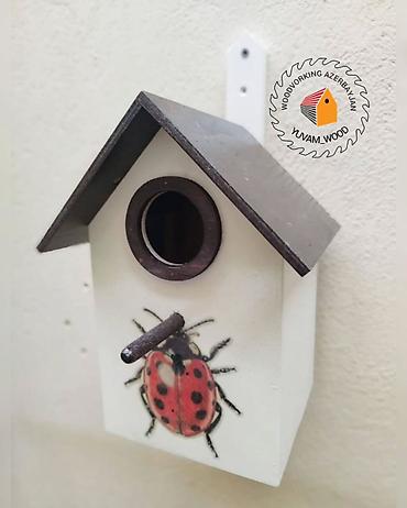 Yuvalar: Quş yuvası — 9