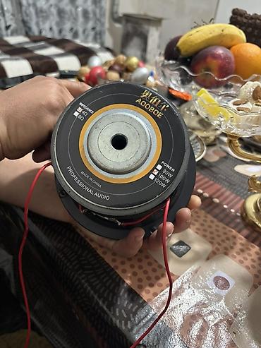 pioner basofka: AOOBOE professional audio bass dinamik 16 lıq superrr basofka - Növ — 3