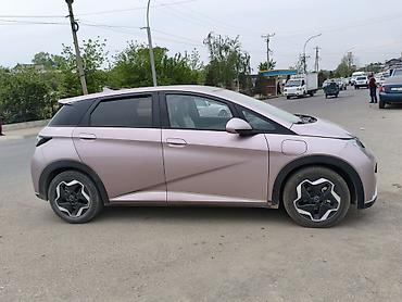 BYD: BYD Dolphin: 2022 г., Электромобиль, Хэтчбэк — 3