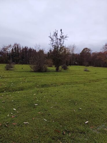 Torpaq sahələrinin satışı: 18 sot, Kənd təsərrüfatı, Mülkiyyətçi, Bələdiyyə — 4