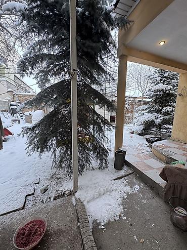 Продажа коттеджей и домов: Продается хороший дом 80м2 в районе 4 мкр Ахунбаева белорусская — 4