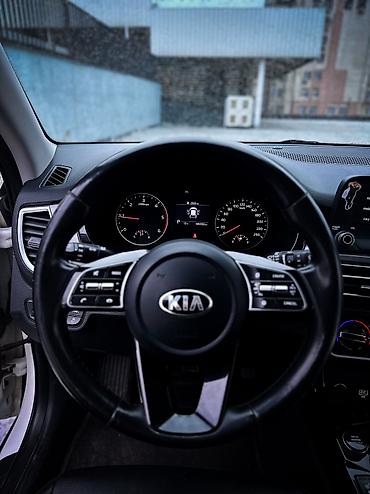 Kia: Kia Seltos: 2020 г., 1.6 л, Робот, Дизель, Кроссовер — 20