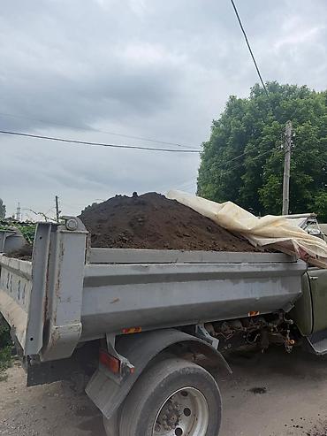 денежный цветок: Чернозём горный плодородный ЗИЛ КАМАЗ — 2