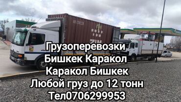 карго цена за кг турция бишкек: Жүк ташыйбыз Кыргызстан ичинде жүктүн бүт түрүн ташыйбыз 25 тоннага