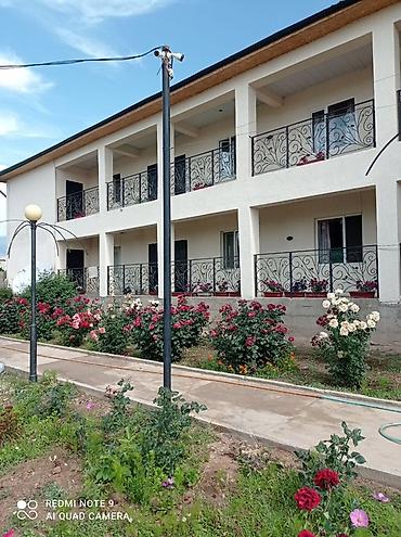 imarat resort: 📍 Удобное расположение — недалеко от ипподрома места проведения — 1