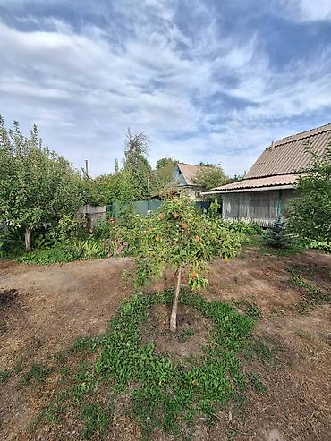 Продажа дач: Продаю дачу в живописном селе Таш-Мойнок Цена: 72 000 $ (только — 16