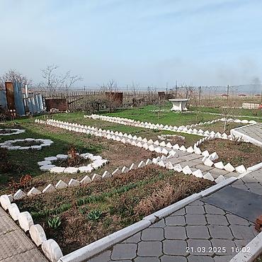 5 соток, Красная книга