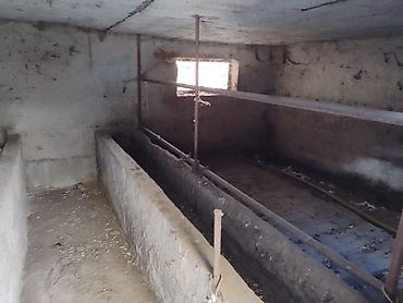 Распашные ворота: Продается дом, в доме четыре комнатыверанда,душ с туалет, есть at lalafo.kg — 19 Распашные ворота: Продается дом, в доме четыре комнатыверанда,душ с туалет, есть — 19