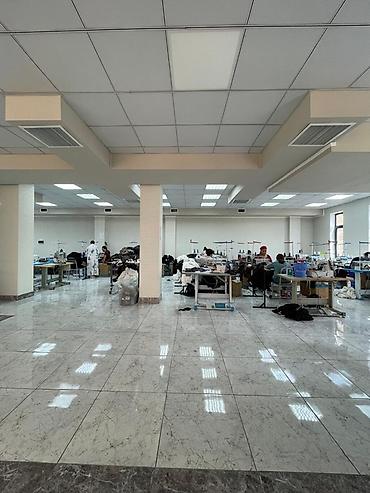 factory: Сдаётся современное 4-этажное коммерческое здание — 950м² на участке 6 — 5