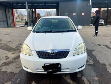 авто с выкупом бишкек: Toyota Allex: 2003 г., 1.5 л, Автомат, Бензин, Хетчбек