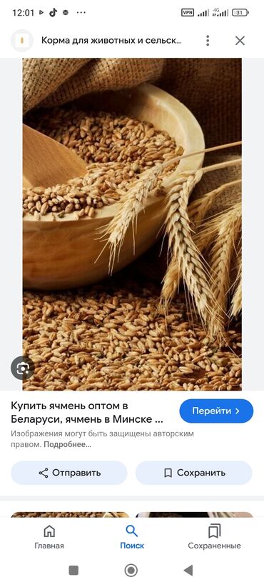 жер уй бишкек сатылат: Продаю ячмень