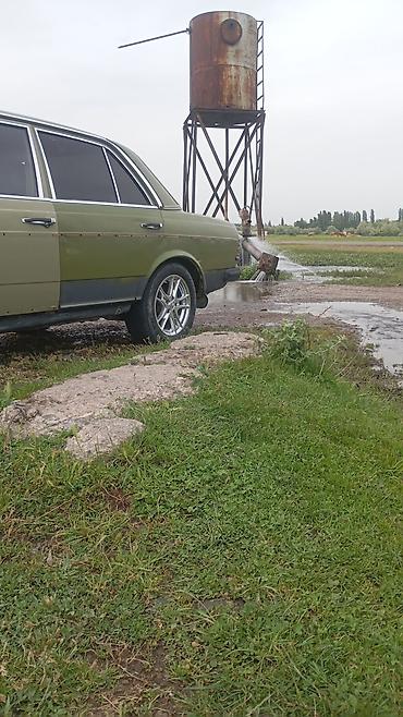 Mercedes-Benz W123: 1982 г., 2.4 л, Механика, Дизель, Седан — 1