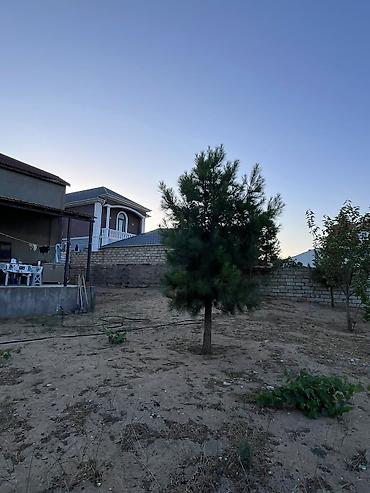 Torpaq sahələrinin satışı: 12 sot, Tikinti, Mülkiyyətçi, Kupça (Çıxarış) — 3